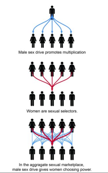 File:Hypergamy.jpg